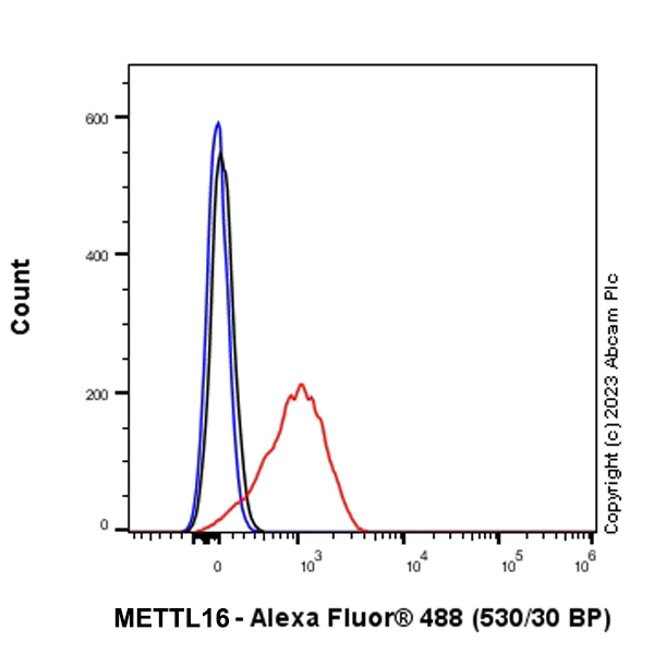 Flow Cytometry (Intracellular) - Anti-METTL16 antibody [EPR27236-78] - BSA and Azide free (AB313744)