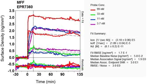 OI-RD Scanning - Anti-MFF antibody [EPR7360] - BSA and Azide free (AB248282)