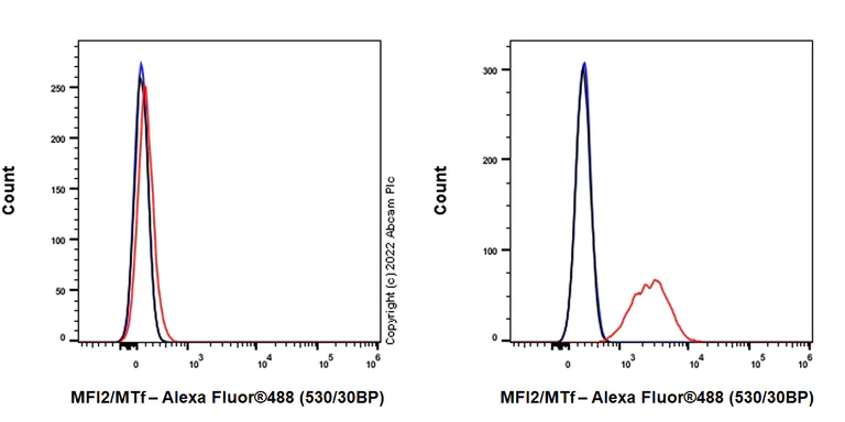 Flow Cytometry - Anti-MFI2/MTf antibody [EPR27232-23] (AB303514)