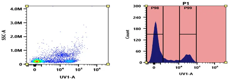 Flow Cytometry - mFluor™ UV375 Anti-CD8a antibody [SK1] (AB326848)