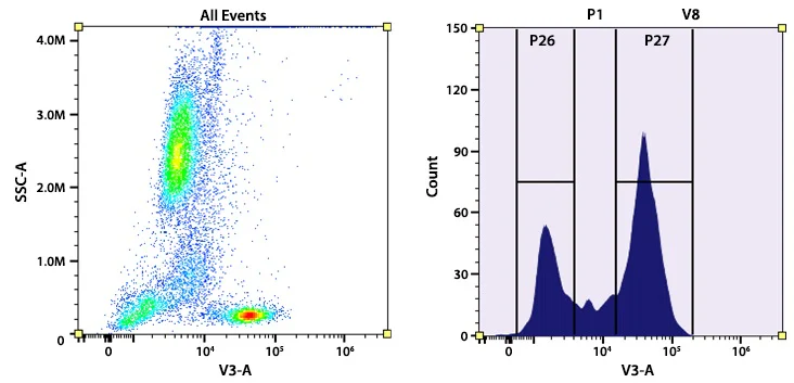 Flow Cytometry - mFluor™ Violet 450 Anti-CD5 antibody [UCHT2] (AB326826)