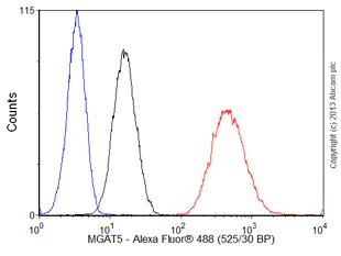 Flow Cytometry - Anti-MGAT5 antibody [3E9] (AB87977)
