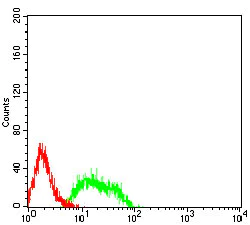 Flow Cytometry - Anti-MGLUR8 antibody [4C1C1] (AB233791)