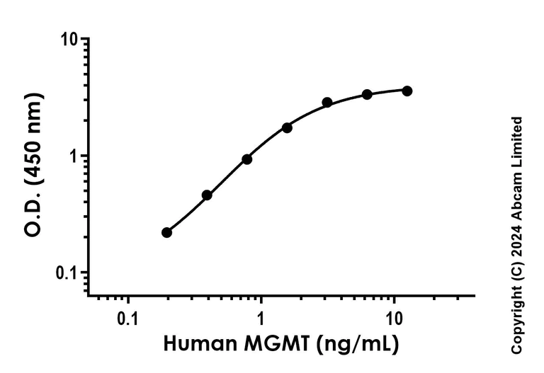 Sandwich ELISA - Anti-MGMT antibody [EPR4397-42] - BSA and Azide free (Detector) (AB285092)