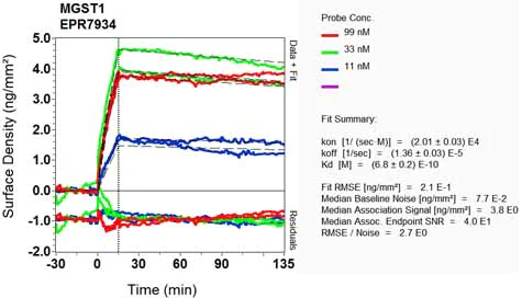 OI-RD Scanning - Anti-MGST1 antibody [EPR7934] - BSA and Azide free (AB232469)