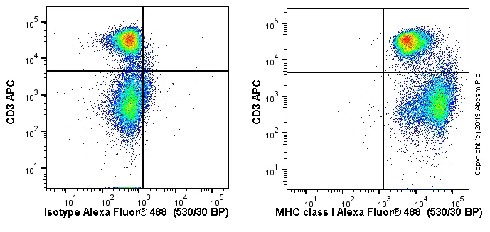Flow Cytometry - Anti-MHC class I antibody [OX18] (AB6405)