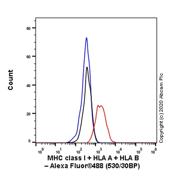 Flow Cytometry - Anti-MHC class I + HLA A + HLA B antibody [EPR1394Y] - BSA and Azide free (AB240087)