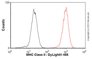 Anti-MHC Class II antibody [6C6]