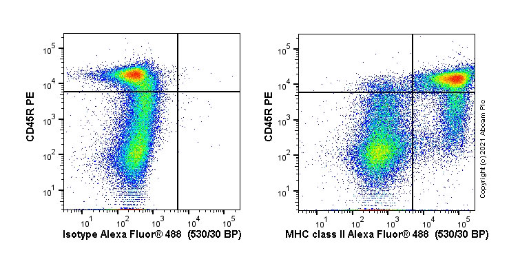 Flow Cytometry - Anti-MHC Class II antibody [OX3] (AB243843), expandable thumbnail