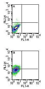 Flow Cytometry - Anti-MHC Qa1b antibody [6A8.6F10.1A6] (AB72487)