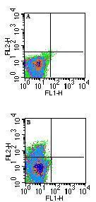 Flow Cytometry - Anti-MHC Qa1b antibody [6A8.6F10.1A6] (AB72487)
