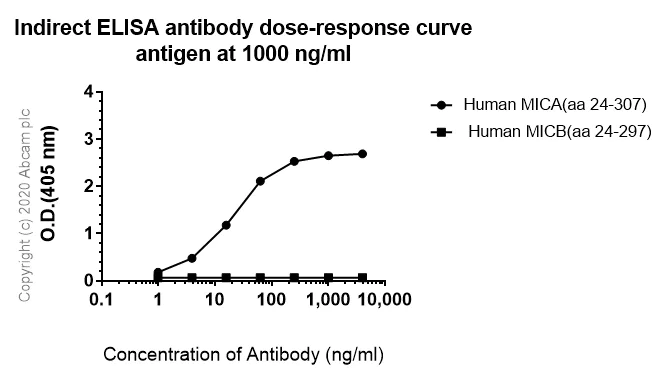 ELISA - Anti-MICA antibody [3H5] (AB278534)