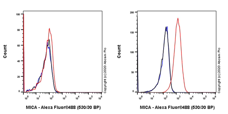 Flow Cytometry - Anti-MICA antibody [3H5] (AB278534)