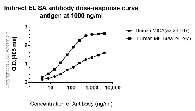 ELISA - Anti-MICA + MICB antibody [6G6] - BSA and Azide free (AB278537)