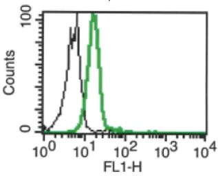 Flow Cytometry - Anti-MICB antibody [B-D54] - BSA and Azide free (AB270760)
