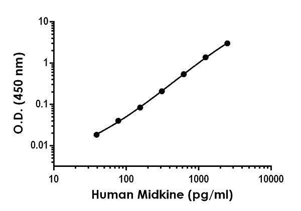 Sandwich ELISA - Anti-Midkine antibody [EPR1143-68R] - BSA and Azide free (Detector) (AB259450)
