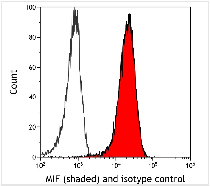 Flow Cytometry - Anti-MIF antibody [BLR141J] - BSA free (AB314057), expandable thumbnail