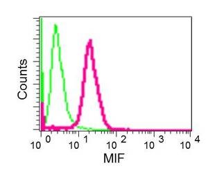 Flow Cytometry (Intracellular) - Anti-MIF antibody [EPR12463] (ab175189), expandable thumbnail