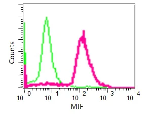 Flow Cytometry (Intracellular) - Anti-MIF antibody [EPR12463] (AB175189)