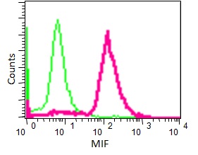 Flow Cytometry (Intracellular) - Anti-MIF antibody [EPR12463] (AB175189), expandable thumbnail
