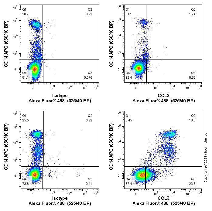 Flow Cytometry (Intracellular) - Anti-MIP-1 alpha/CCL3 + CCL3L1 antibody [EPR22529-19] (ab229900), expandable thumbnail