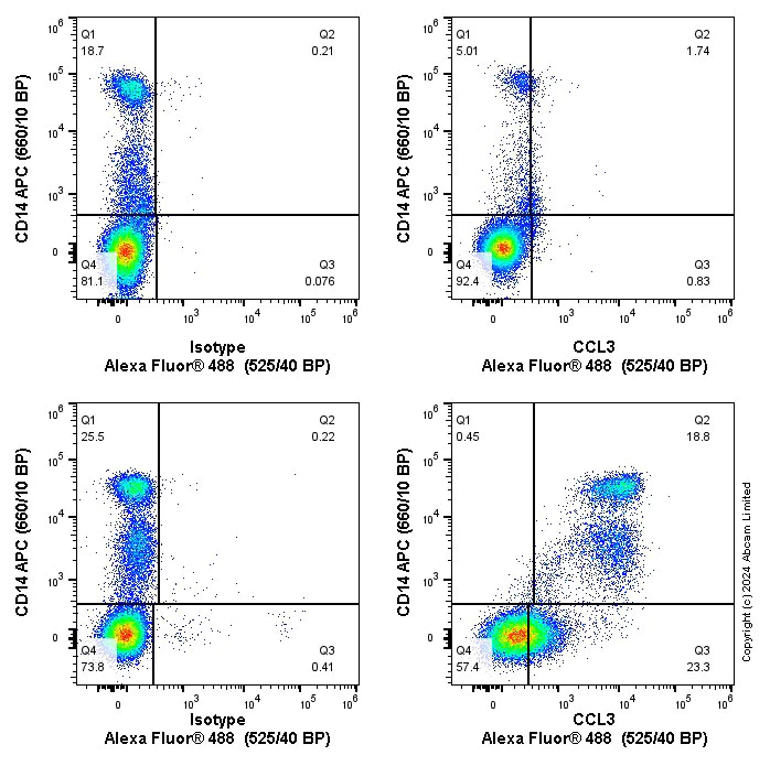 Flow Cytometry (Intracellular) - Anti-MIP-1 alpha/CCL3 + CCL3L1 antibody [EPR22529-19] - BSA and Azide free (AB254289)