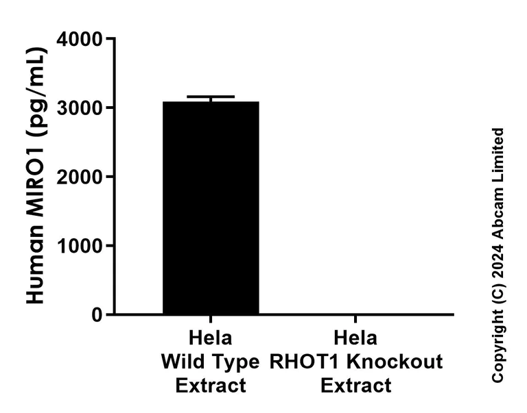 Sandwich ELISA - Anti-MIRO1 antibody [MJF-D29136-145] - BSA and Azide free (Detector) (AB320019)