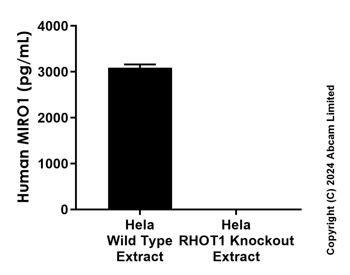 Sandwich ELISA - Anti-MIRO1 antibody [MJF-D29136-16] - BSA and Azide free (Capture) (AB320018), expandable thumbnail