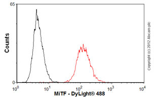 Flow Cytometry (Intracellular) - Anti-MiTF antibody [C5] - BSA and Azide free (AB264110)