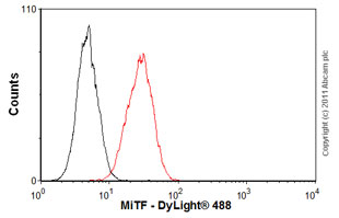 Flow Cytometry (Intracellular) - Anti-MiTF antibody [D5] (AB3201), expandable thumbnail