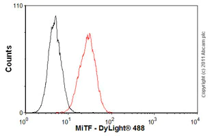 Flow Cytometry (Intracellular) - Anti-MiTF antibody [D5] - BSA and Azide free (AB182842)