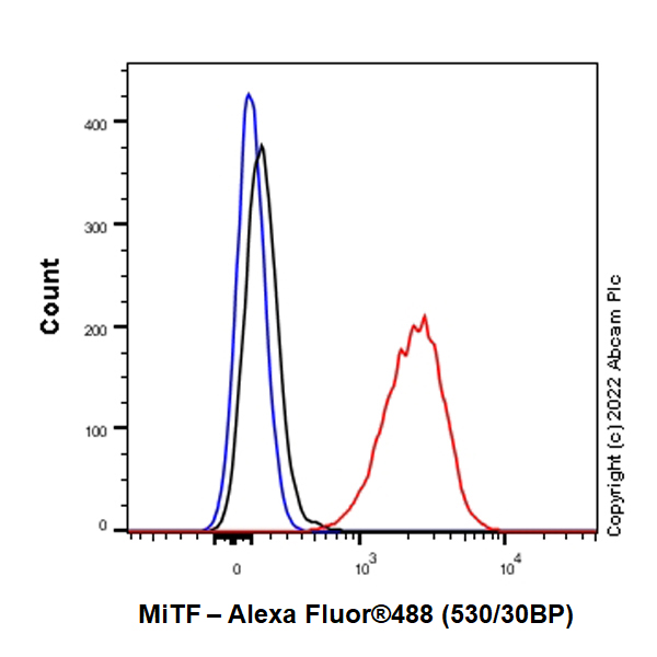 Flow Cytometry (Intracellular) - Anti-MiTF antibody [EPR26363-10] (AB303530), expandable thumbnail