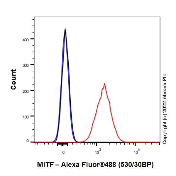 Flow Cytometry (Intracellular) - Anti-MiTF antibody [EPR26363-10] - BSA and Azide free (AB303531)