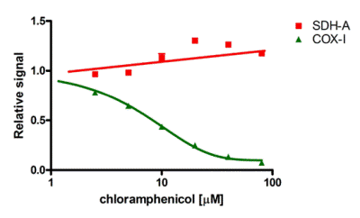 In-Cell ELISA - MitoBiogenesis™ In-Cell ELISA Kit (Colorimetric) (AB110217), expandable thumbnail