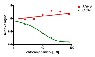 In-Cell ELISA - MitoBiogenesis™ In-Cell ELISA Kit (Colorimetric) (AB110217)