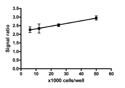 In-Cell ELISA - MitoBiogenesis™ In-Cell ELISA Kit (Colorimetric) (AB110217), expandable thumbnail