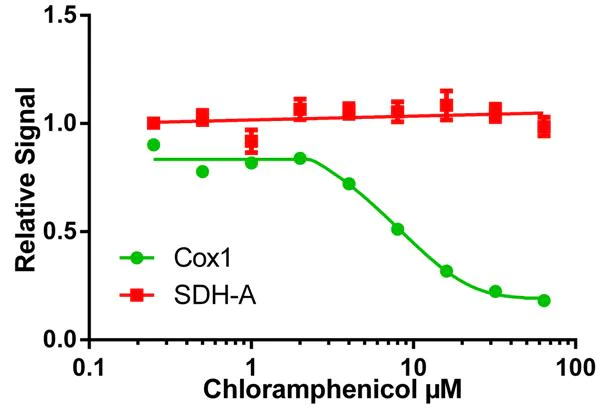 Inhibition Assay - MitoBiogenesis™ In-Cell ELISA Kit (Fluorescent) (AB140359)