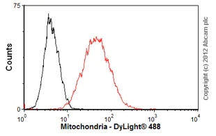 Flow Cytometry - Anti-Mitochondria antibody [113-1] - BSA and Azide free (AB92824)