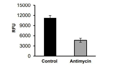 Functional Studies - Mitochondria Isolation Kit For Tissue and Cultured Cells (AB288084)