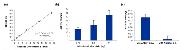 Functional Studies - Mitochondrial Complex III Activity Assay Kit (AB287844), expandable thumbnail