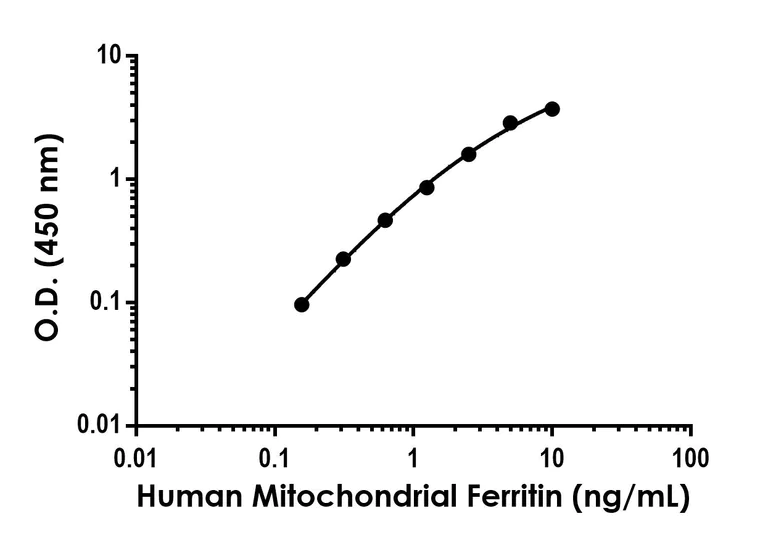 Sandwich ELISA - Anti-Mitochondrial Ferritin antibody [EPR25733-23] - BSA and Azide free (Detector) (AB305145)