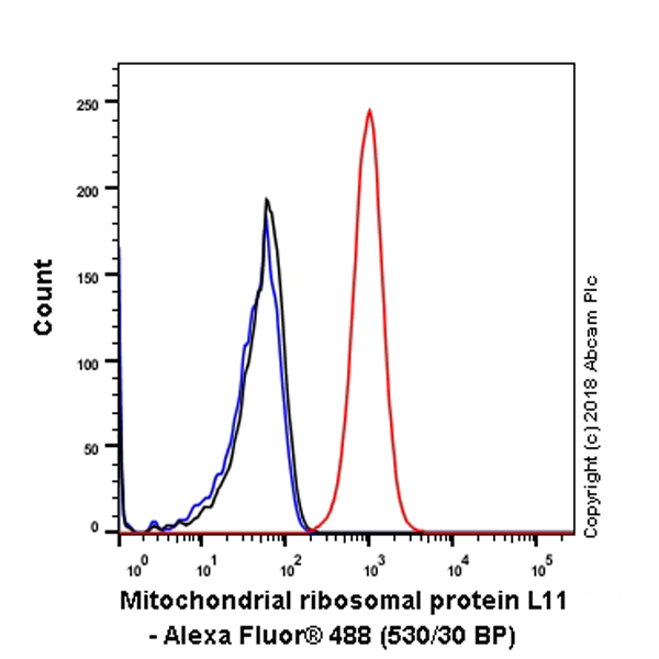 Flow Cytometry (Intracellular) - Anti-Mitochondrial ribosomal protein L11 antibody [EPR9111(B)] - BSA and Azide free (AB248654), expandable thumbnail