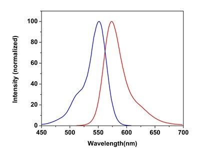 Fluorescence Microscopy - Mitochondrial Staining Reagent - Orange - Cytopainter (AB176831), expandable thumbnail