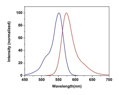 Fluorescence Microscopy - Mitochondrial Staining Reagent - Orange - Cytopainter (AB176831)
