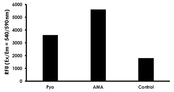 Functional Studies - Mitochondrial Superoxide Assay Kit (Fluorometric) (AB219943)