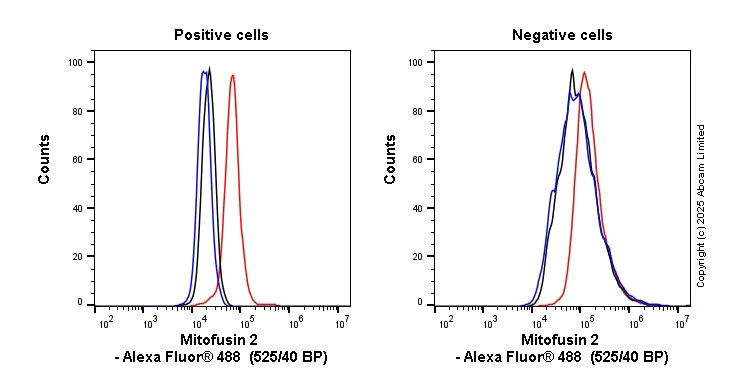 Flow Cytometry (Intracellular) - Anti-Mitofusin 2 antibody [EPR19796] - BSA and Azide free (AB251422)