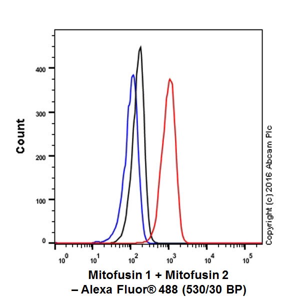 Flow Cytometry (Intracellular) - Anti-Mitofusin 2 + Mitofusin 1 antibody [EPR19792] - BSA and Azide free (ab251421), expandable thumbnail