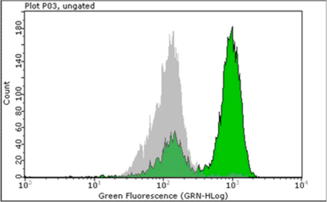 Flow Cytometry (Intracellular) - Anti-Mitotic proteins antibody [MPM-2] (AB14581)