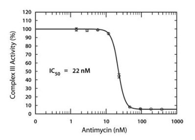 Functional Studies - MitoTox™ Complex II + III OXPHOS Activity Assay Kit (AB109905), expandable thumbnail