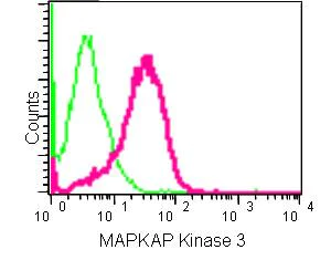 Flow Cytometry (Intracellular) - Anti-MK-3 antibody [EPR13969] - BSA and Azide free (AB250651)